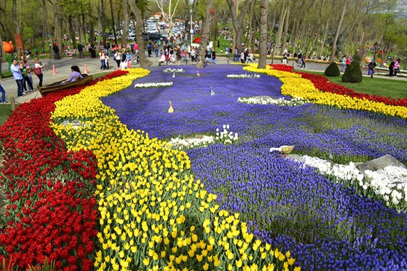 festival des tulipes à Saint-Pétersbourg