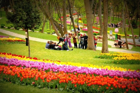 festival de tulipes
