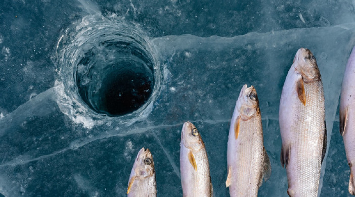 Pêche sous la glace
