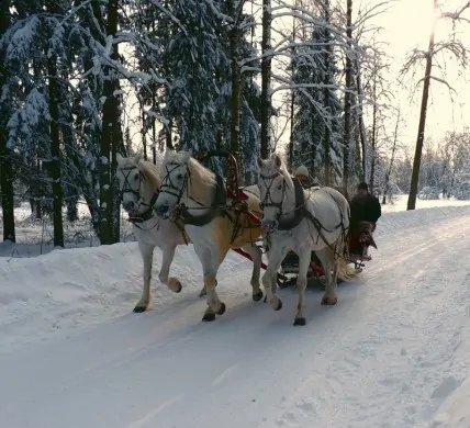 Troïka russe à Pavlovsk